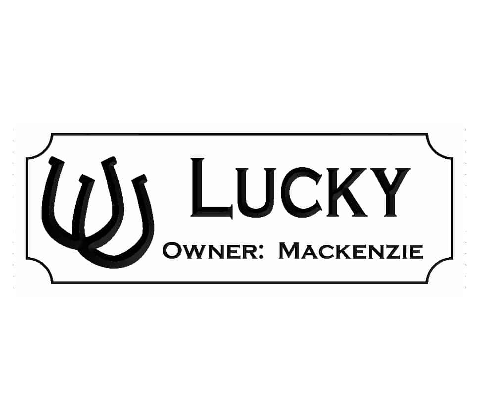 Name Plate Lucky Horseshoe 2 Lines Customizable - Image 2