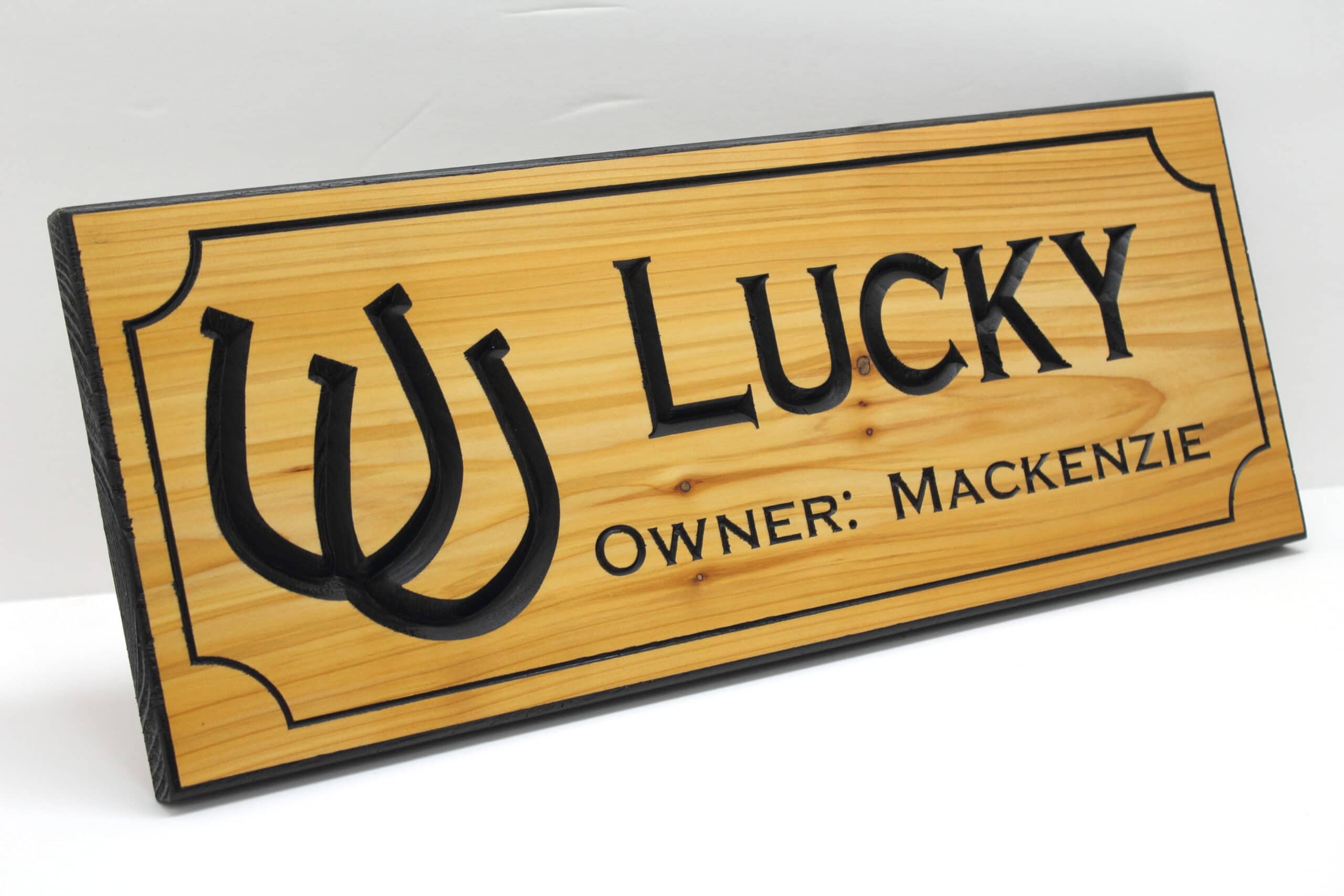 Name Plate Lucky Horseshoe 2 Lines Customizable - Image 3